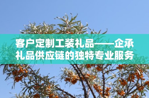 客户定制工装礼品——企承礼品供应链的独特专业服务