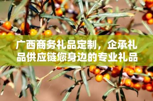 广西商务礼品定制，企承礼品供应链您身边的专业礼品定制公司